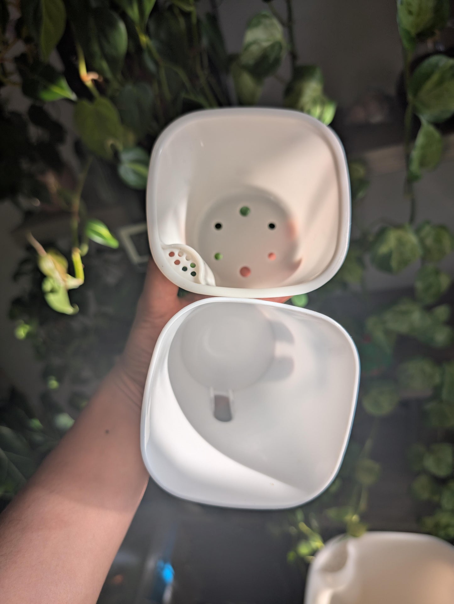 Self Watering Pots With inserts