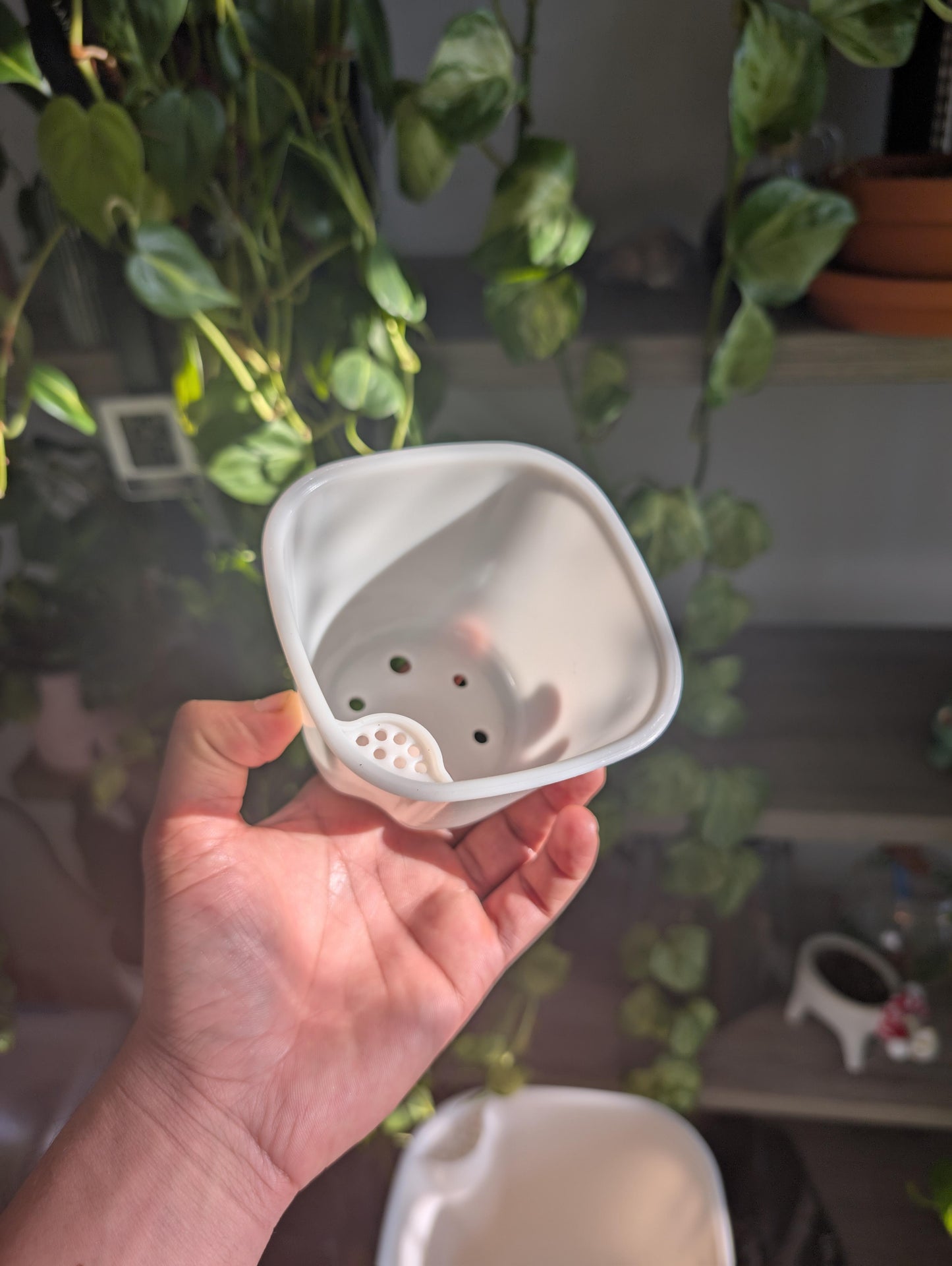 Self Watering Pots With inserts