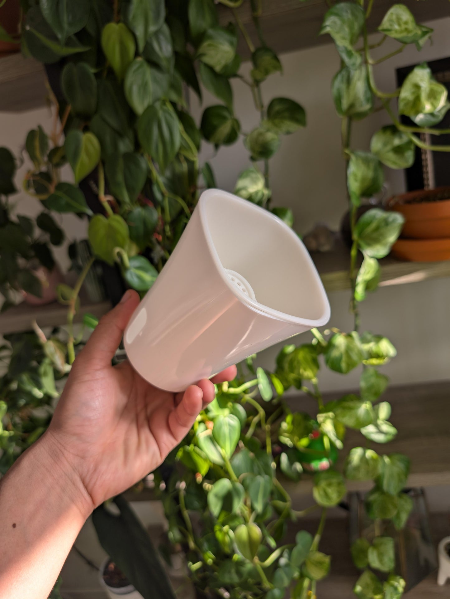 Self Watering Pots With inserts